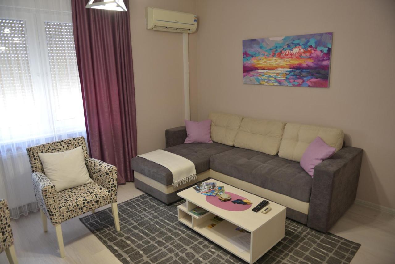 Apartmani Tomic クラドヴォ エクステリア 写真