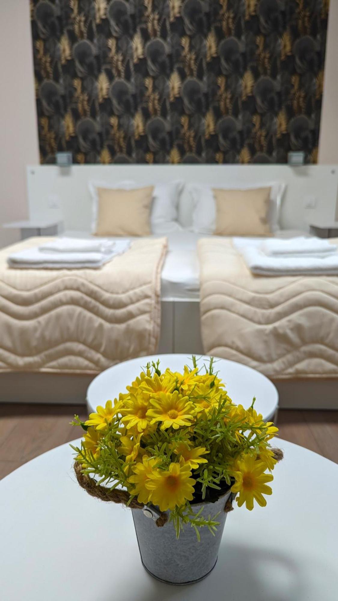 Apartmani Tomic クラドヴォ エクステリア 写真